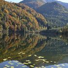 Am Krottensee- St. Gilgen im Salzkammergut-Land Salzburg