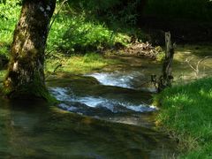 Am kühlen Wasser...