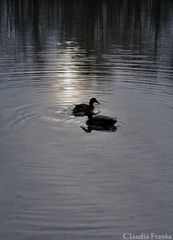 Am Kuhsee