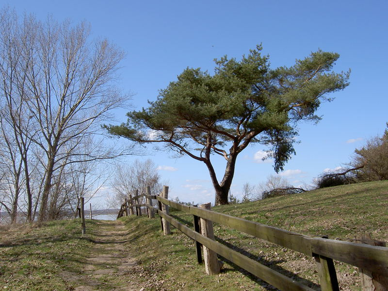 Am Kummerower See