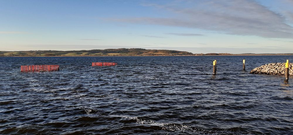 Am Kummerower See