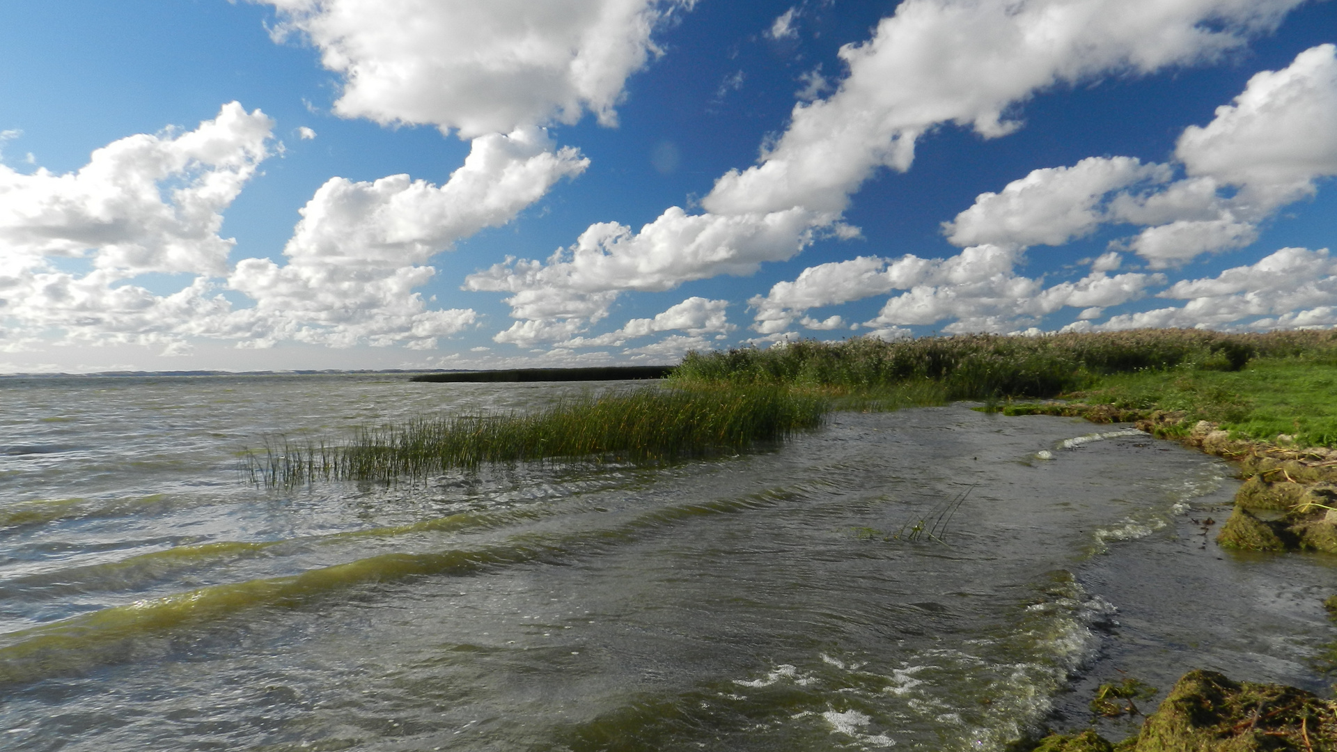 Am Kurischen Haff