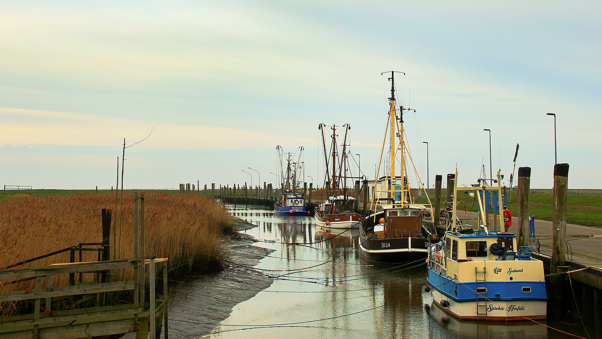 am Kutterhafen