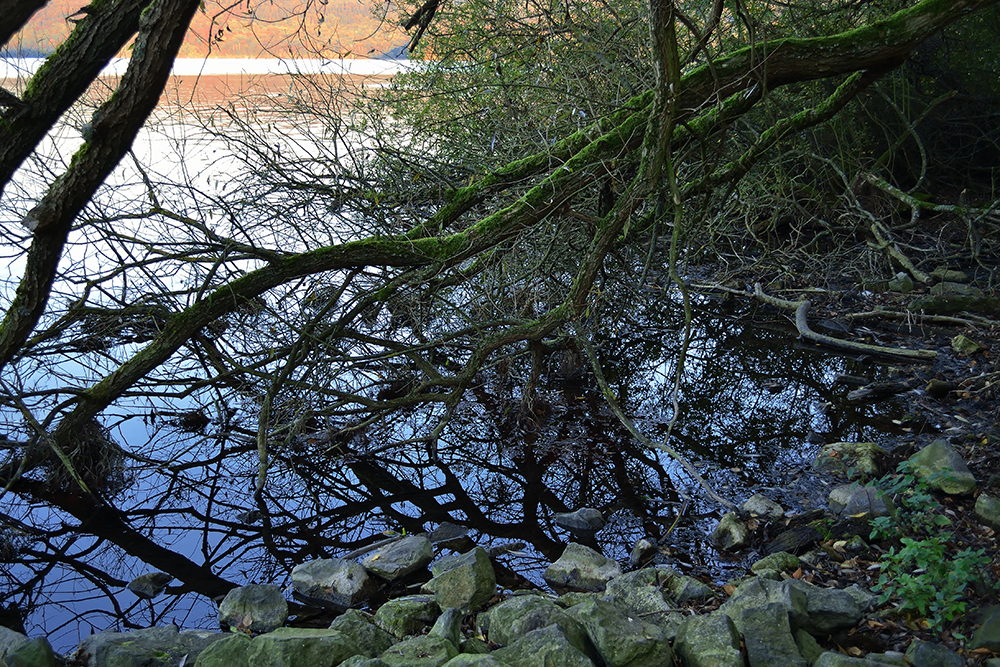 Am Laacher See die 2.