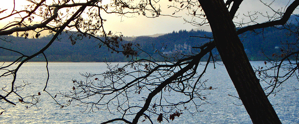 Am Laacher See