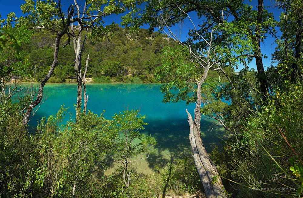 Am Lac d' Esparron (120° Pano)