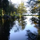 Am Lac de Gérardmer in den Vogesen