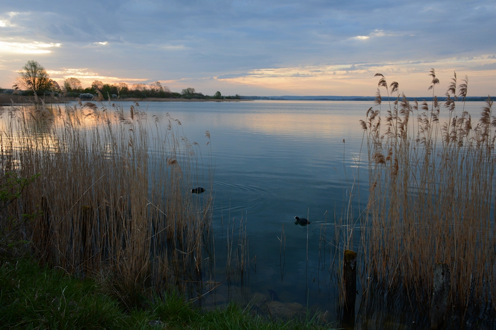 am Lac de Madine -13-