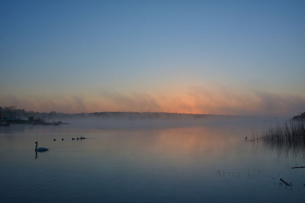 am Lac de Madine -17-