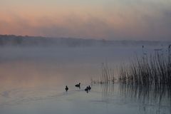 am Lac de Madine -19-