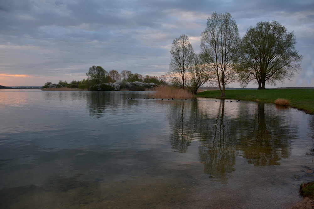 am Lac de Madine -3-