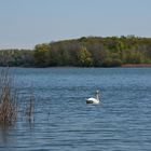 am Lac de Madine-38-