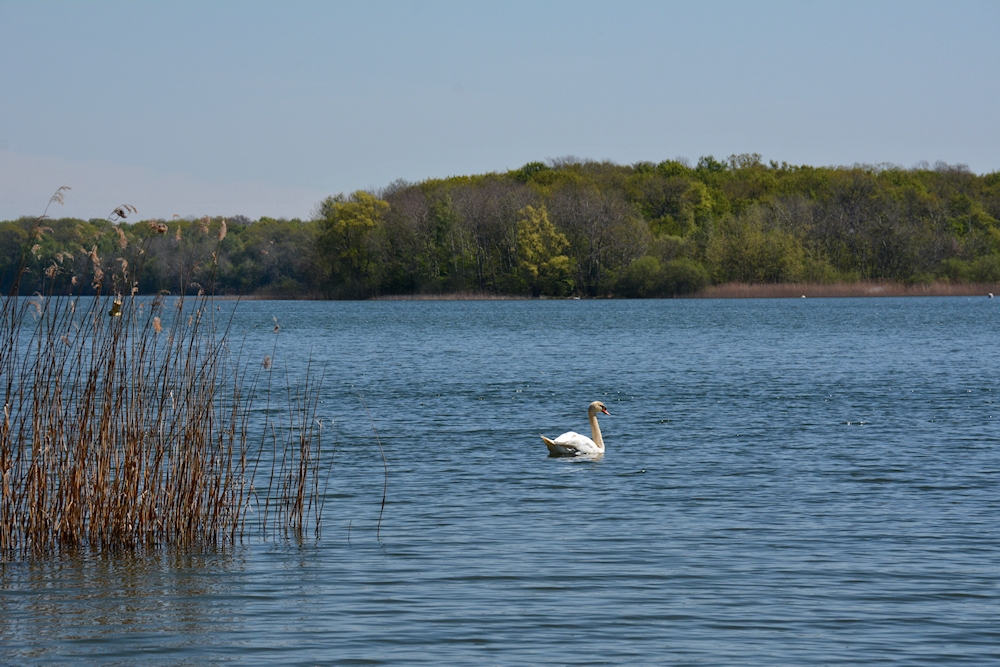 am Lac de Madine-38-