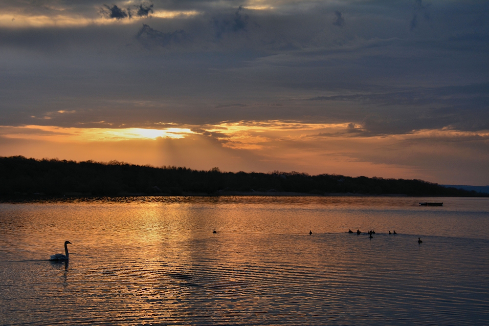 am Lac de Madine -4-