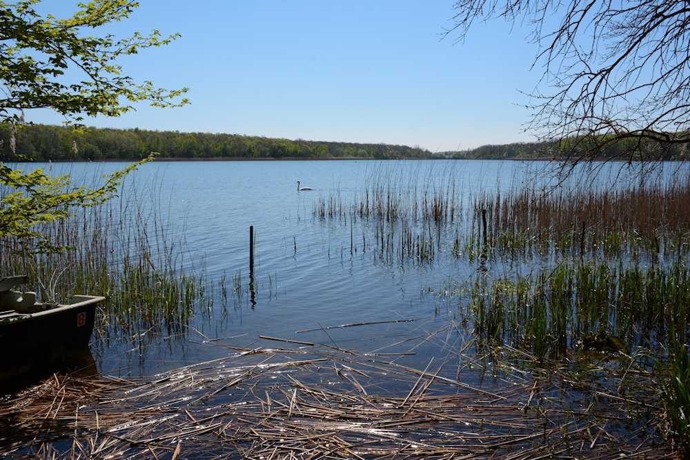 am Lac de Madine-40-