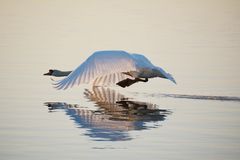 am Lac de Madine 41