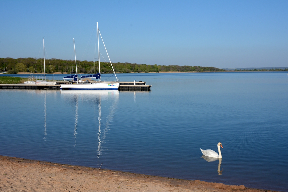 am Lac de Madine 43