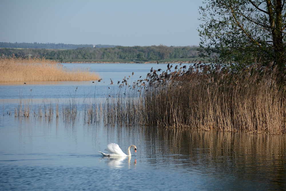 am Lac de Madine 45