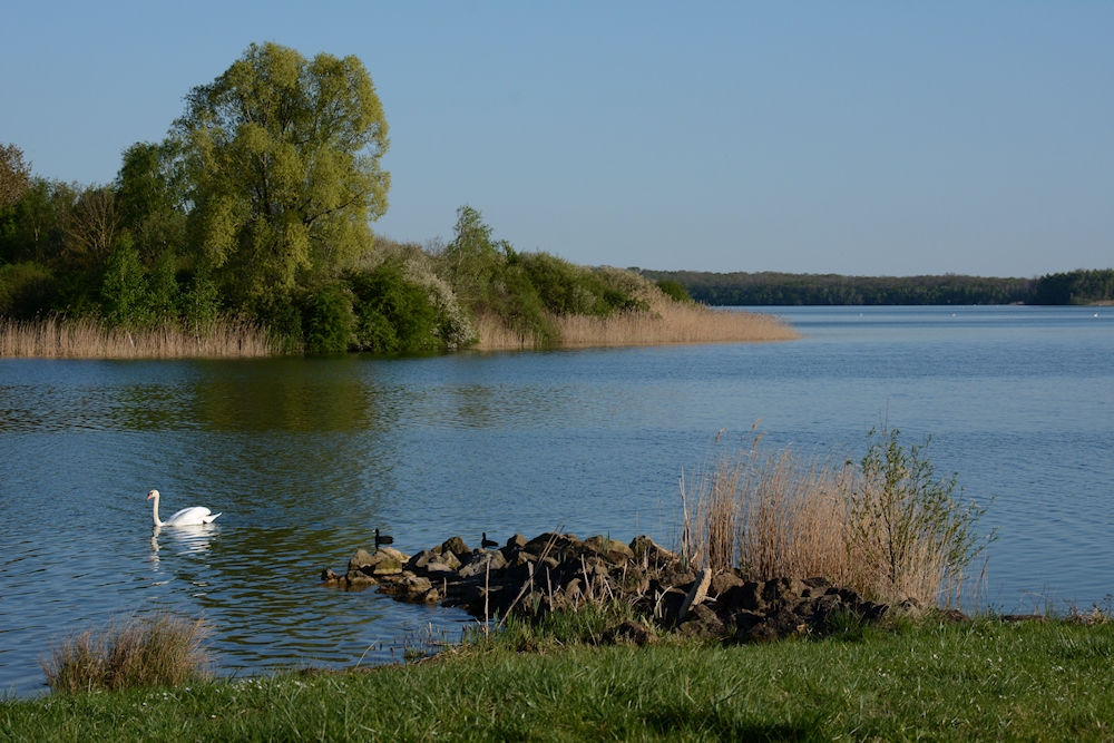 am Lac de Madine 49