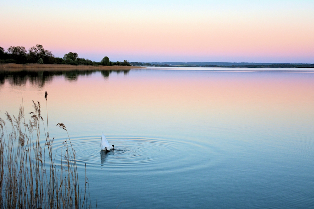 am Lac de Madine 51