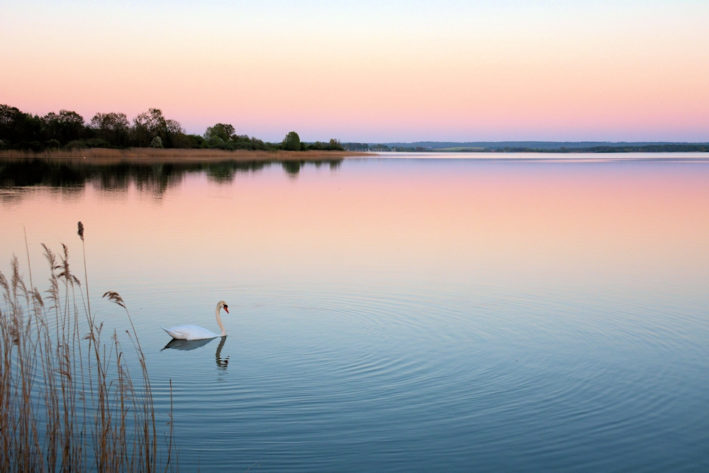 am Lac de Madine 53