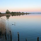 am Lac de Madine 54