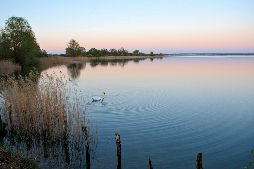 am Lac de Madine 54