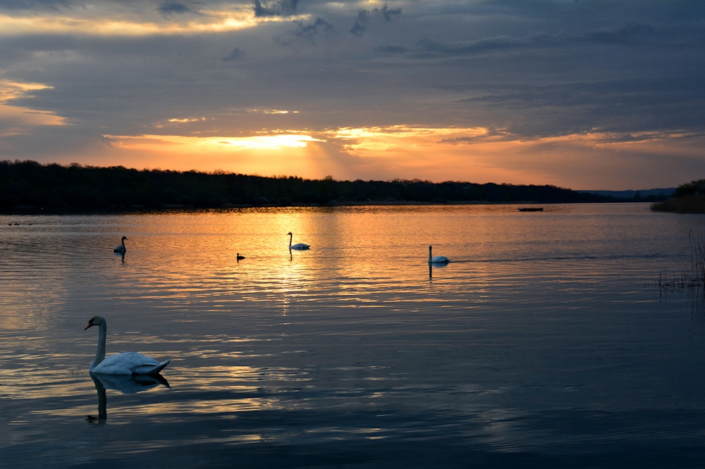 am Lac de Madine -6-