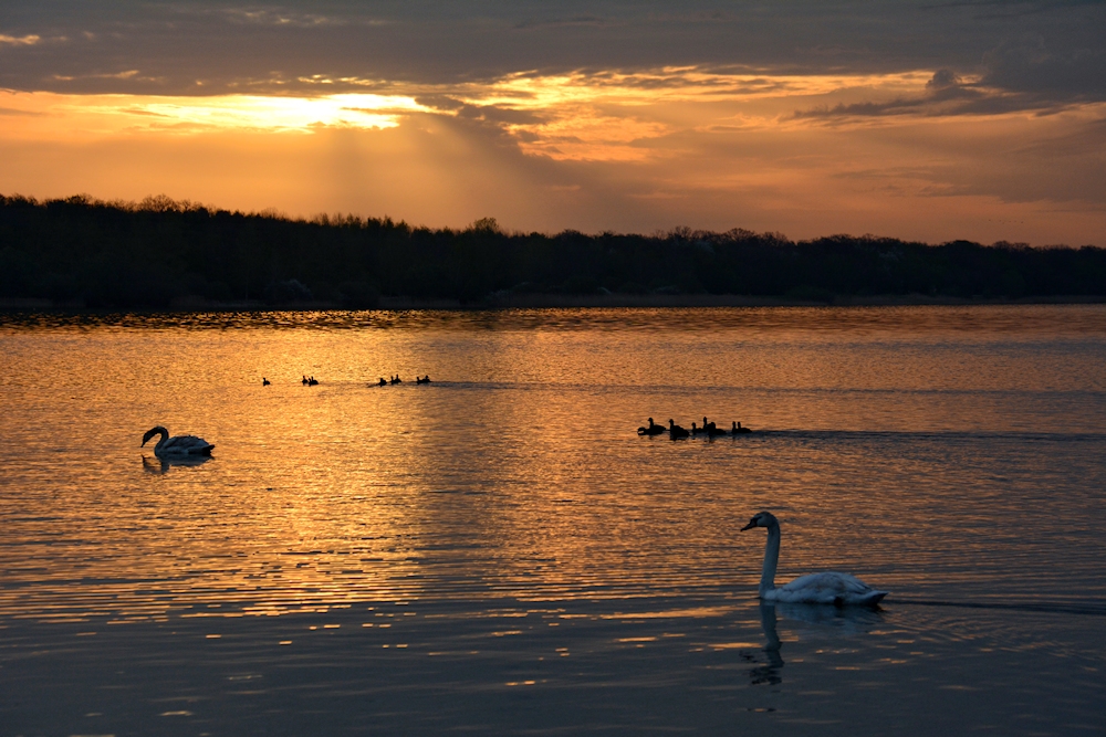 am Lac de Madine -7-