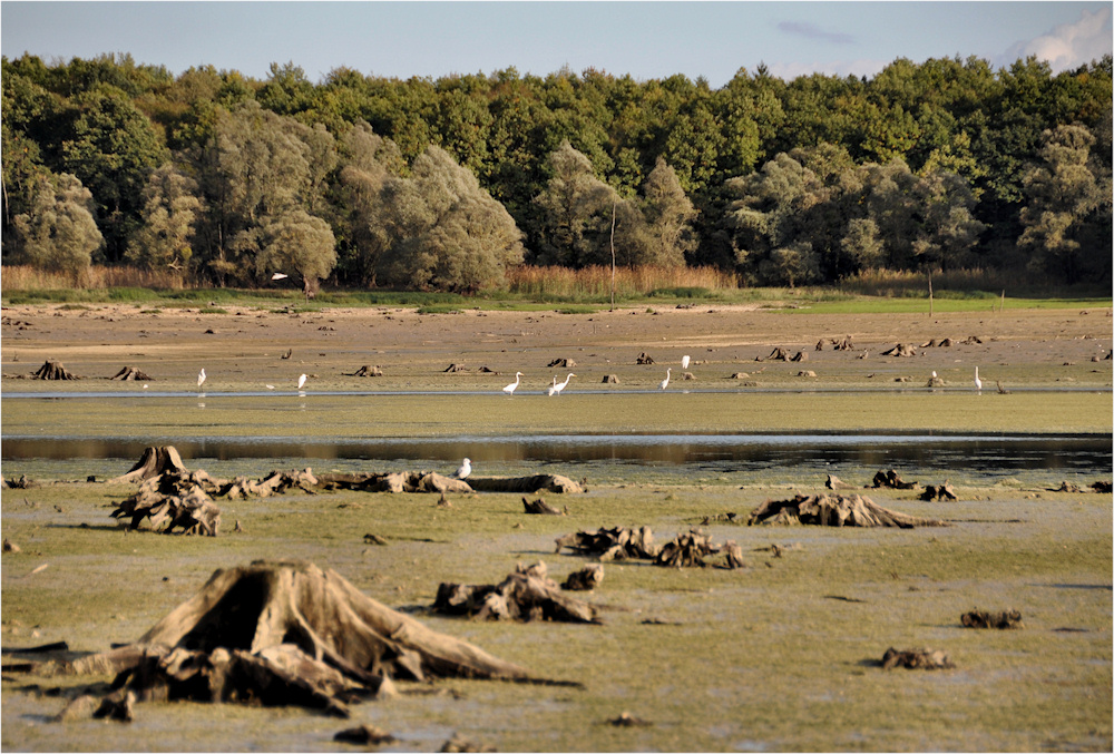 am Lac de Orient