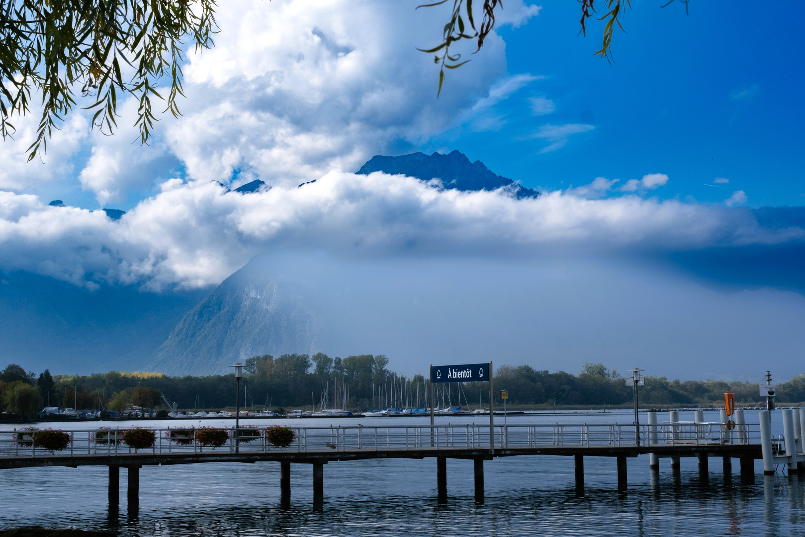 Am Lac Léman