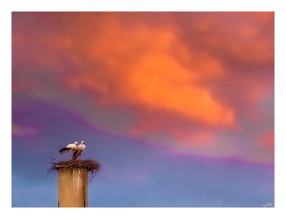 Am längsten Abend