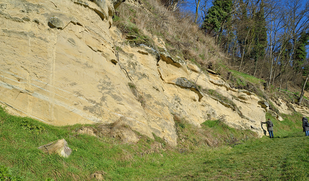 Am Läufelberg - "Naturdenkmal" -