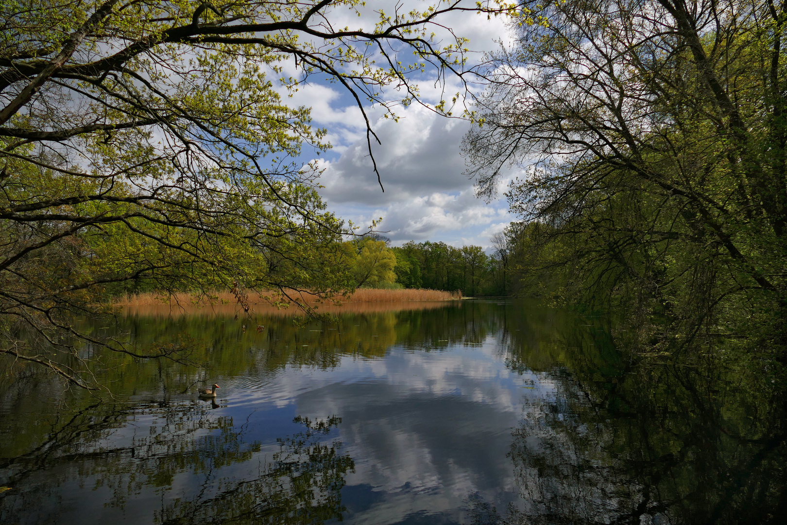 Am Lagesteich