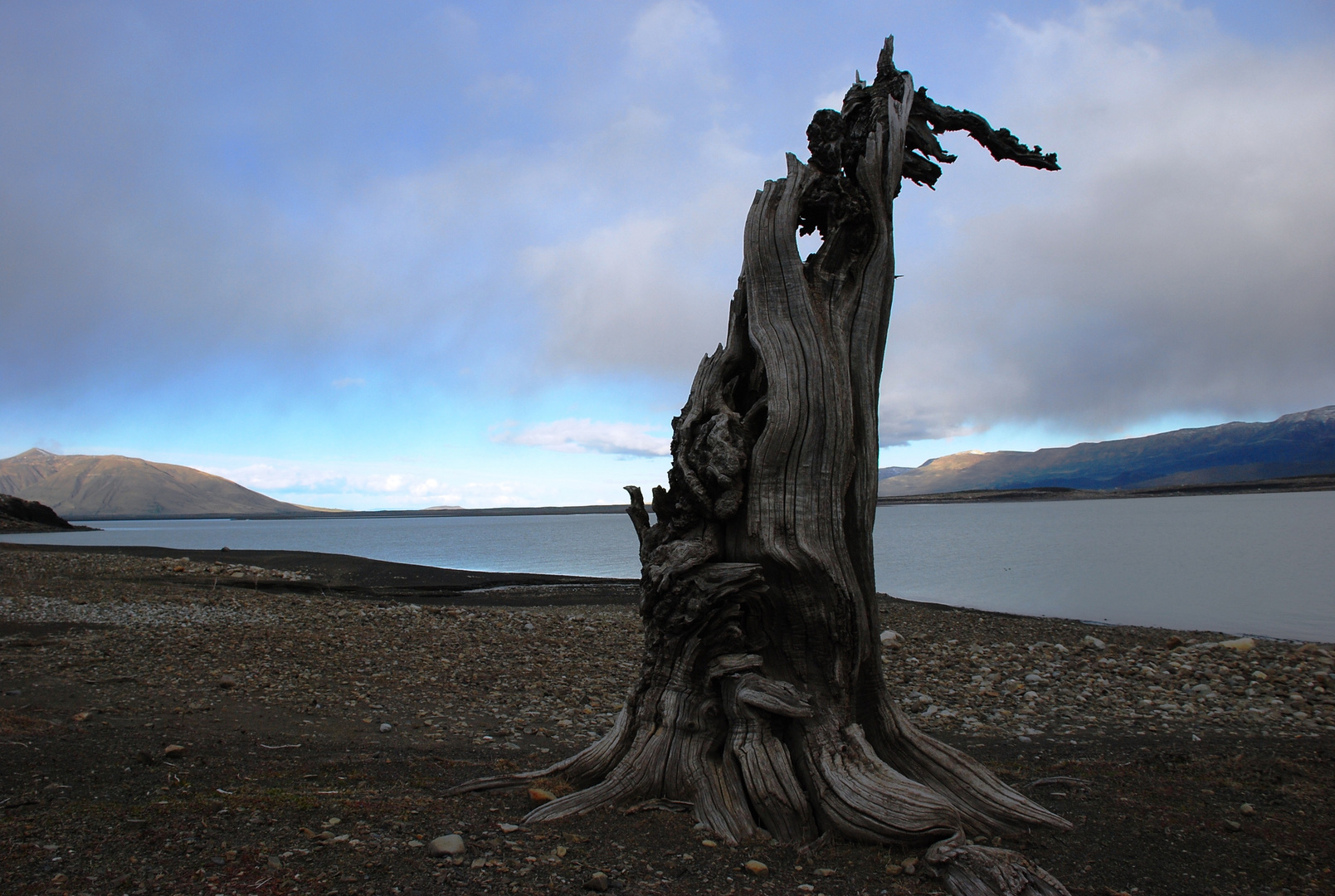 Am Lago Argentino