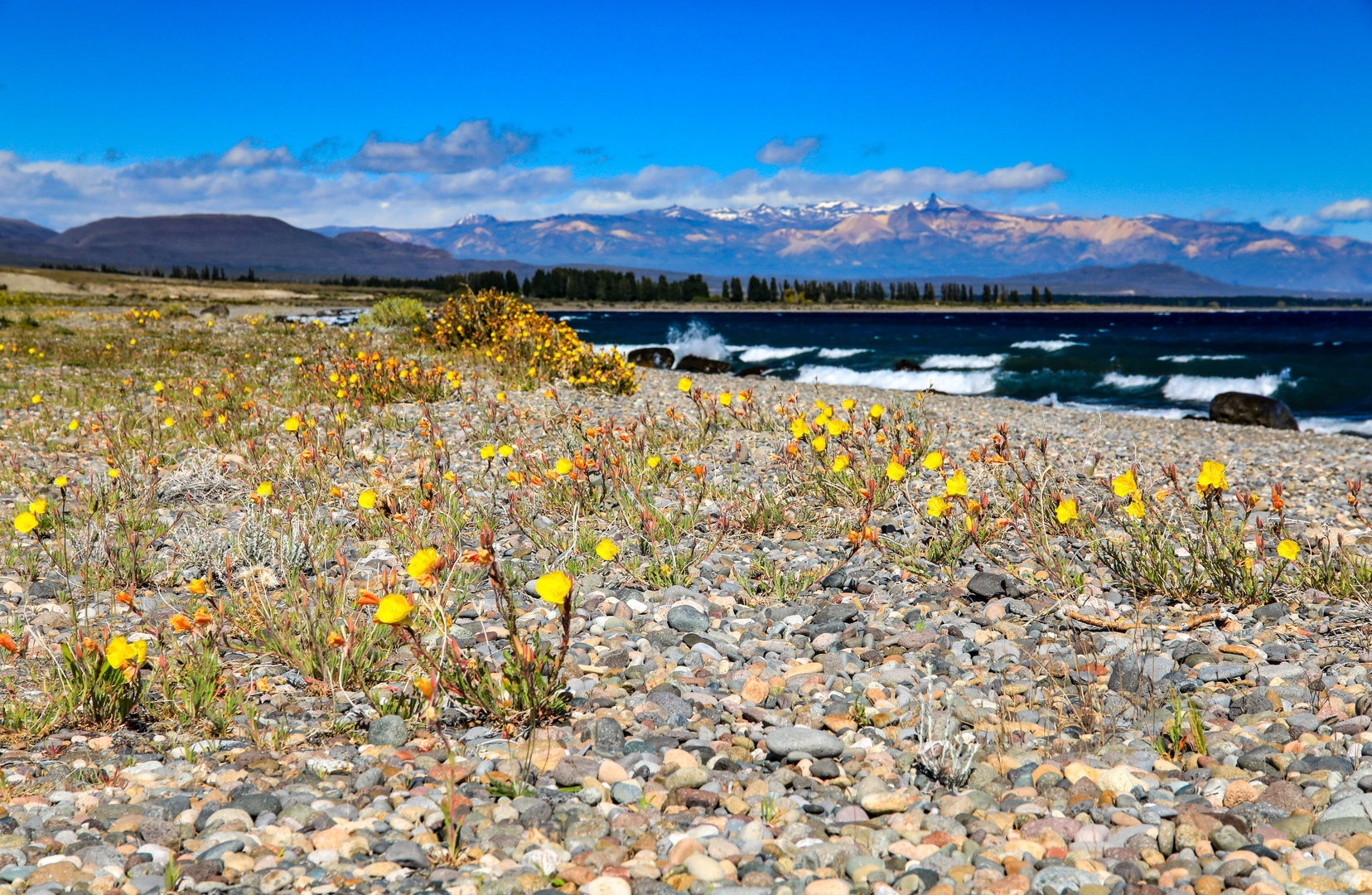 Am Lago Buenos Aires 2 Foto & Bild south america, argentina, región