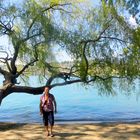 Am Lago di Lugano ...