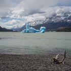 am Lago Grey - Patagonien