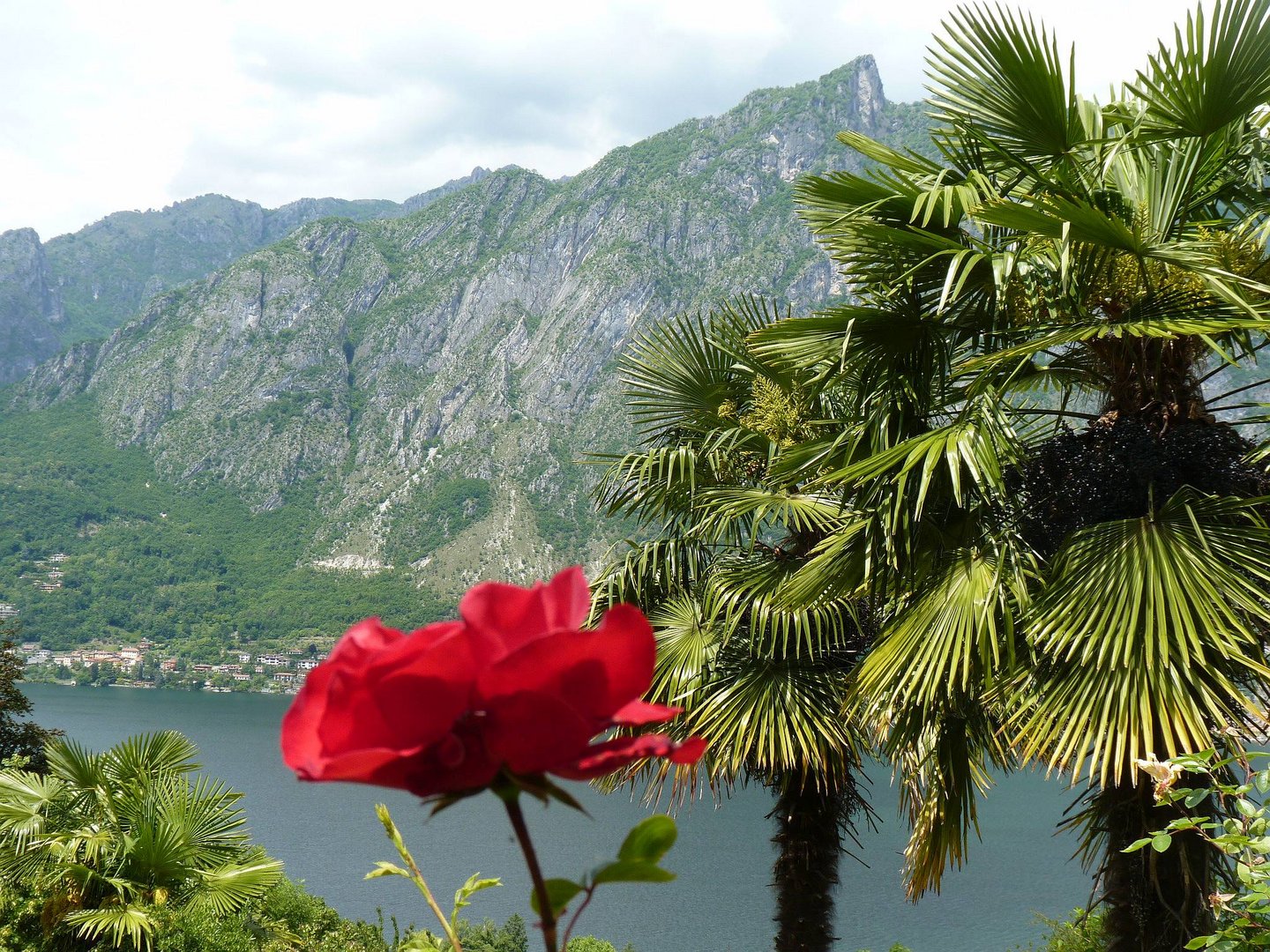 am Lago Lugano