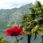 am Lago Lugano