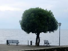 Am Lago Maggiore ...