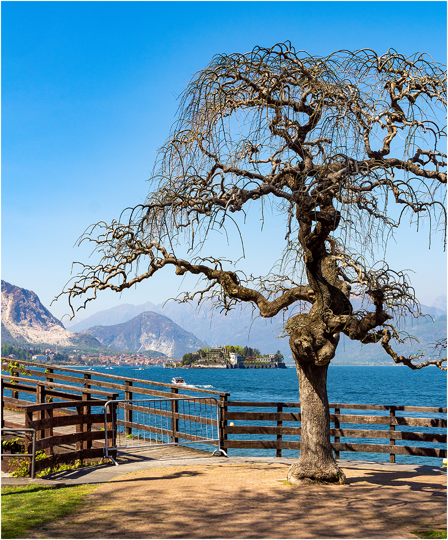 Am Lago Maggiore