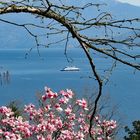 Am Lago Maggiore