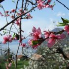 Am Lago Maggiore