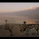 am lago maggiore III