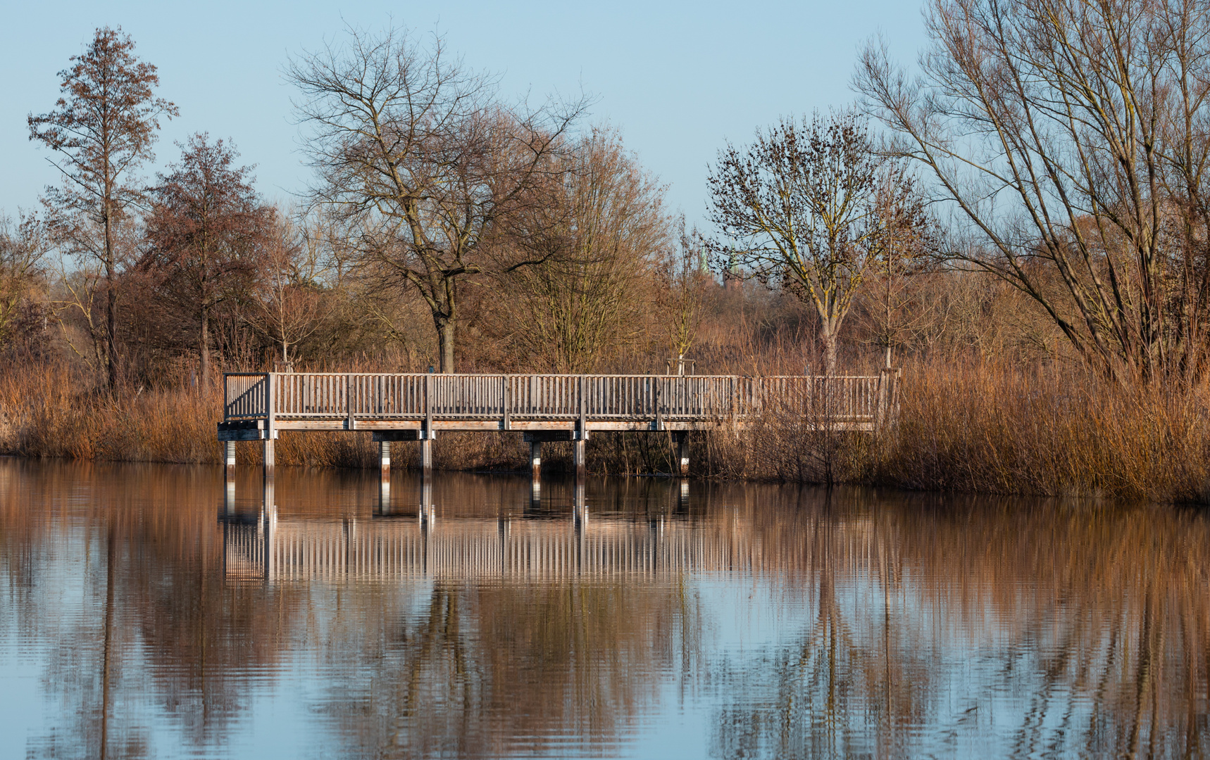 Am Laichteich...