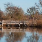 Am Laichteich...