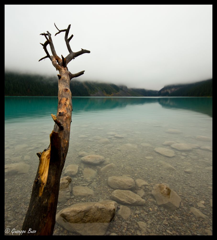 Am Lake Louise I