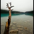 Am Lake Louise I