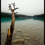 Am Lake Louise I